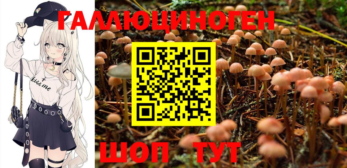 Псилоцибиновые грибы GOLDEN TEACHER Королёв